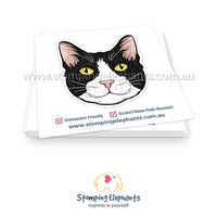 Cat (Tuxedo) Sticker