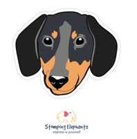 Dachshund (Black & Tan) Sticker